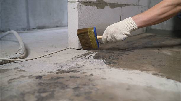 SJ Waterproofing Pros Waterproofing coverage map for North Star, MI and surrounding area